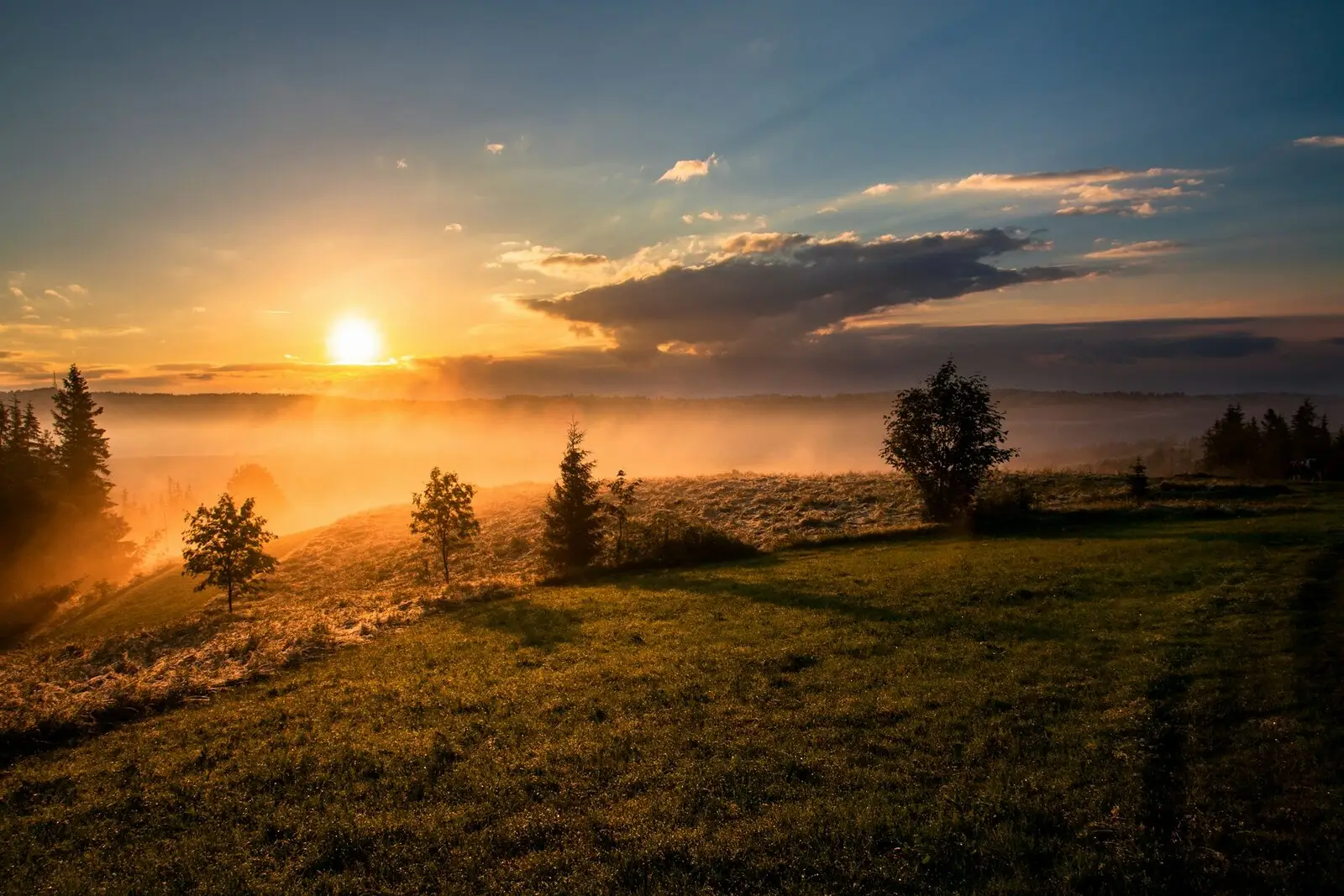 Paysage ouvert à la lumière du soir